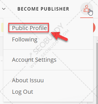 Click on "Public Profile" in the upper right corner